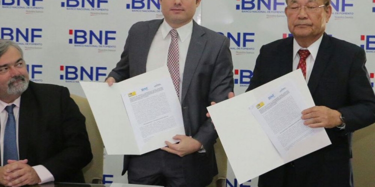 BNF dará asistencia financiera a unos 20.000 productores de sésamo de Curuguaty, Caaguazú y Caazapá