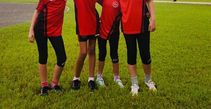 El idioma del compañerismo