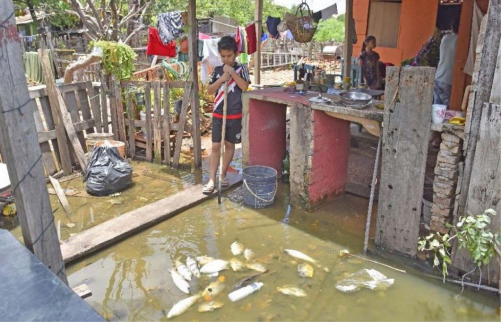 SEAM califica de «efecto natural» la mortandad de peces por falta de oxígeno