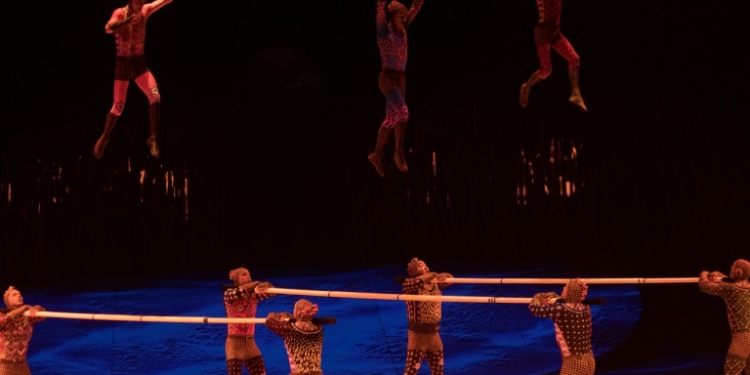 Un acróbata del Cirque du Soleil muere en caída en EEUU