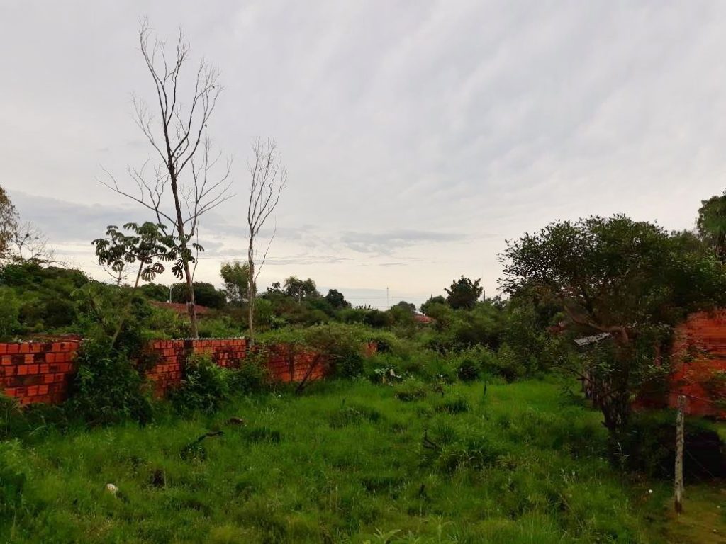 Chaco: Fiscal Ambiental verificó terrenos baldíos cuyos dueños serían pasibles de sanciones Chaco: Fiscal Ambiental verificó terrenos baldíos cuyos dueños serían pasibles de sanciones