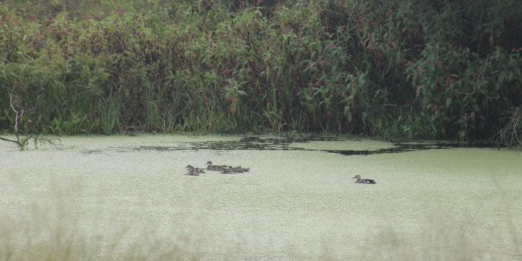 Jóvenes chaqueños asistirán a comunidades necesitadas Jóvenes chaqueños asistirán a comunidades necesitadas