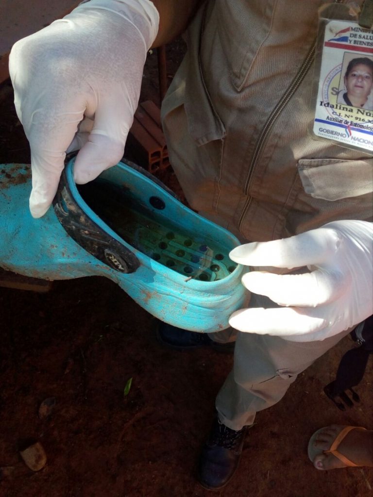 Los criaderos pueden estar en cualquier parte! Mucho Ojo! Los criaderos pueden estar en cualquier parte! Mucho Ojo!