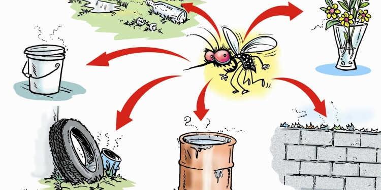 Mcal. Estigarribia también lucha contra el dengue