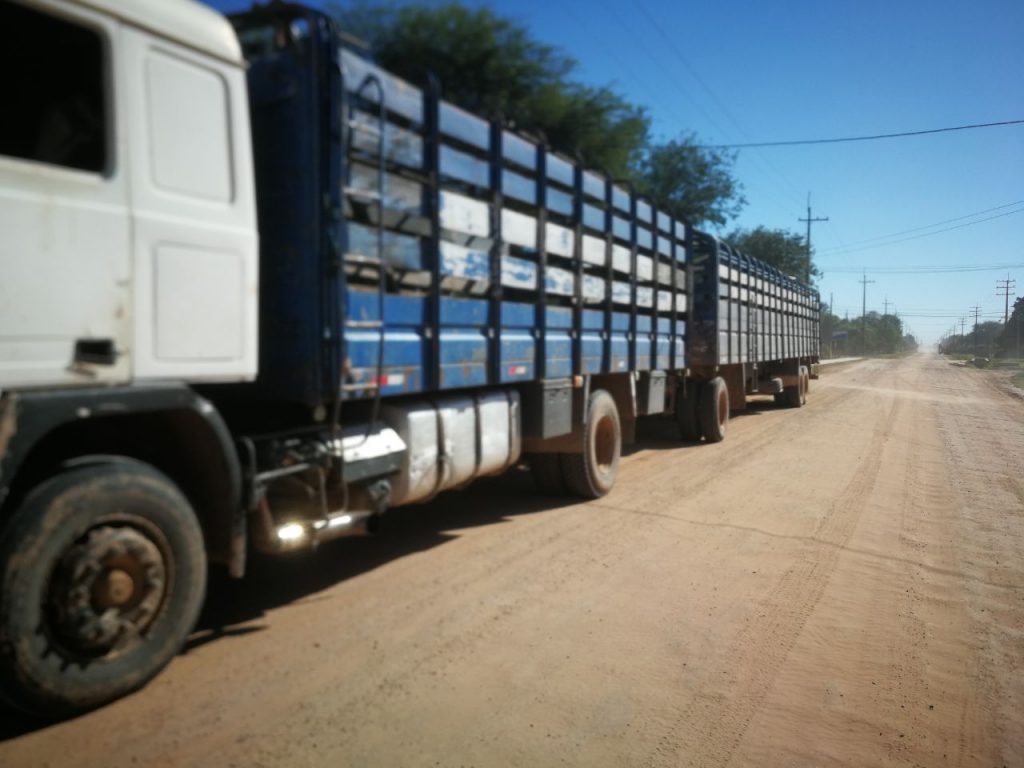 Cuatro aprehendidos bajo sospecha de abigeato en Margariño Cuatro aprehendidos bajo sospecha de abigeato en Margariño