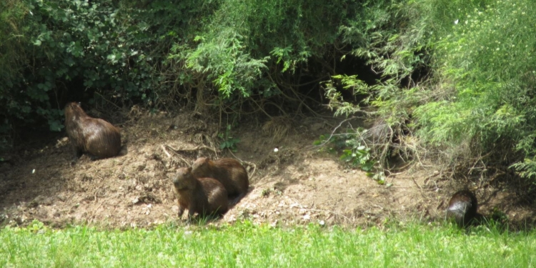 Pronostican miércoles frío y sin lluvias