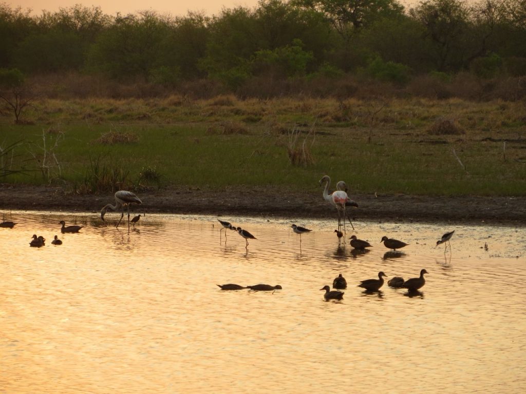 Anuncian viernes frío con vientos del sur