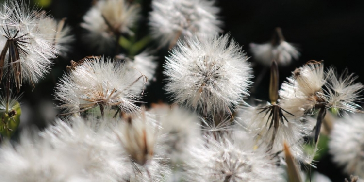 Amanecer fresco con precipitaciones en distintos puntos del país