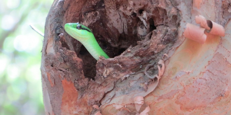 Cálido inicio de semana