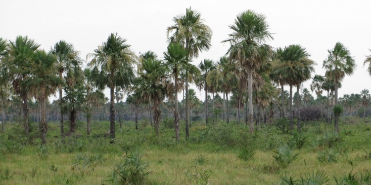 Se prevé jornada fresca con vientos del sur
