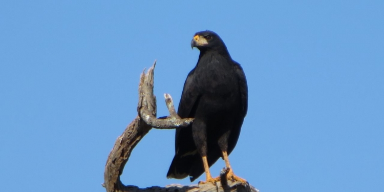 Día fresco con precipitaciones dispersas Día fresco con precipitaciones dispersas