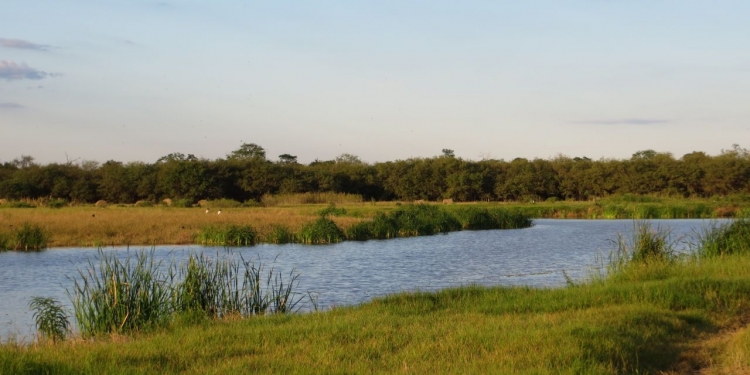 Israel apoyará a Paraguay para convertir al Chaco en productor regional de alimentos