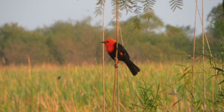 Día de las madres con clima agradable en todo el país Día de las madres con clima agradable en todo el país
