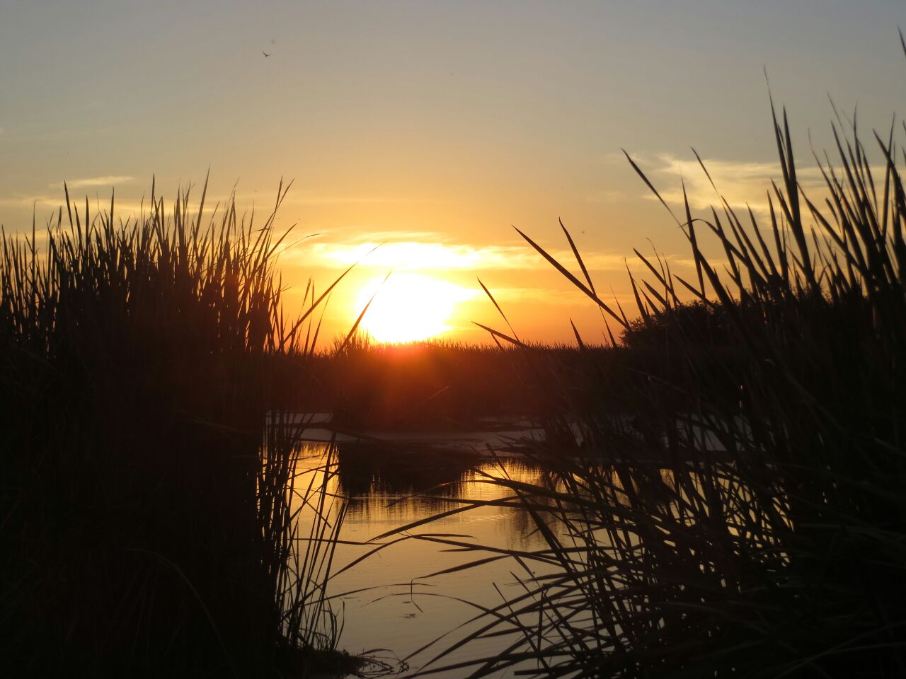 Anuncian temperaturas en aumento durante el fin de semana