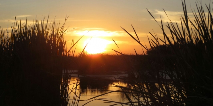 Inicio de semana con jornada calurosa y chaparrones