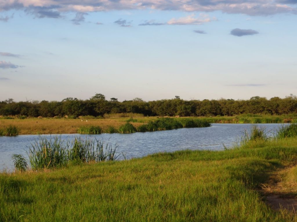 Anuncian sábado fresco a cálido