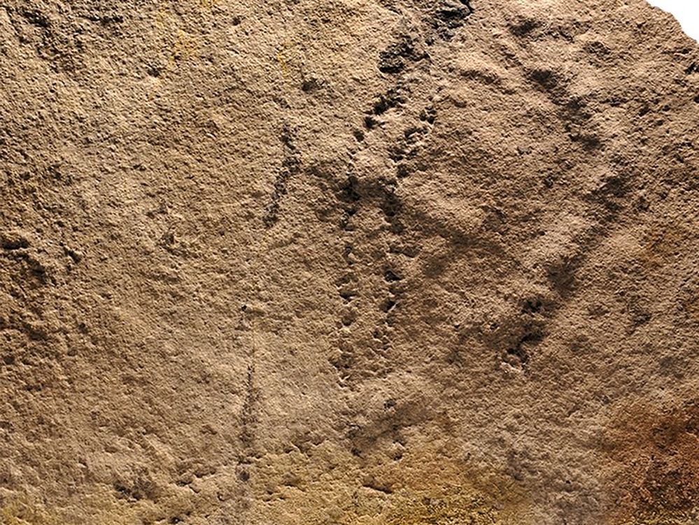 Hallan en China las huellas animales más antiguas conocidas hasta ahora