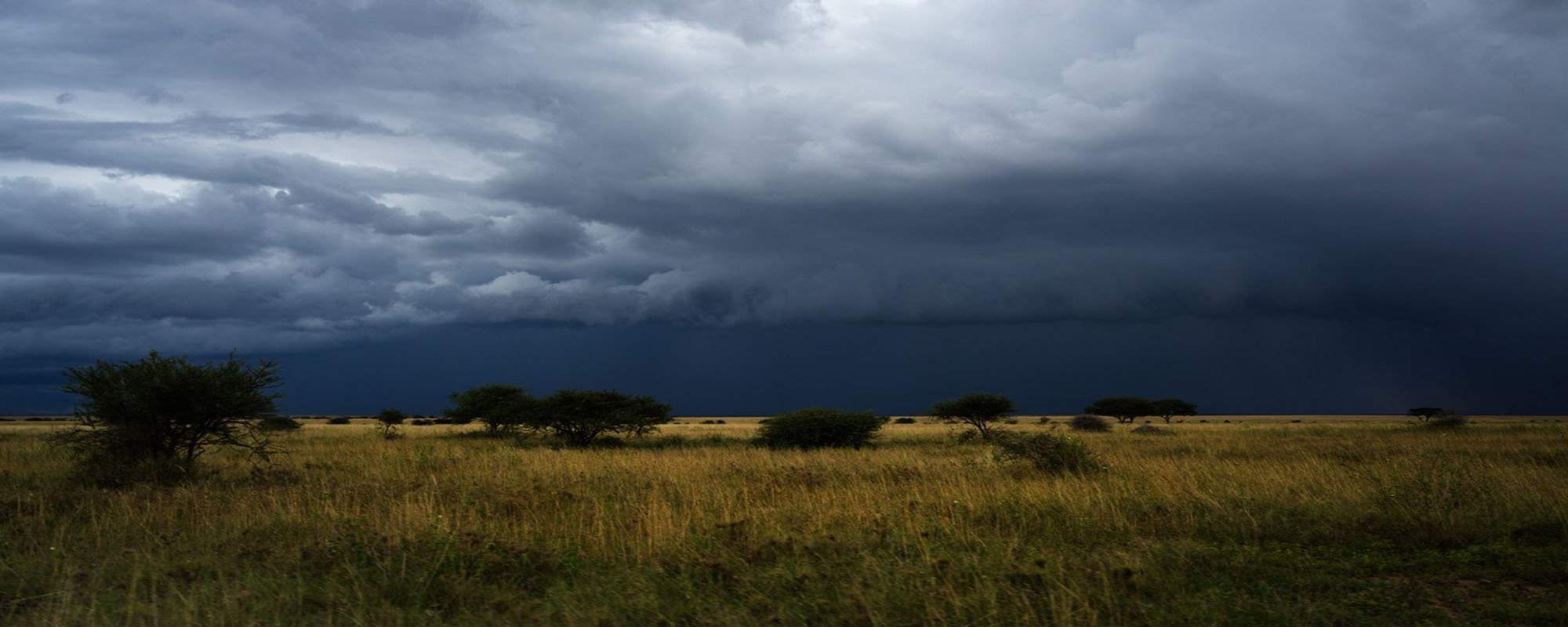 Alerta meteorológica: Se prevén tormentas eléctricas para el bajo Chaco
