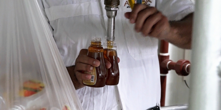 Del Chaco para el mundo, la apicultura en nuestra región