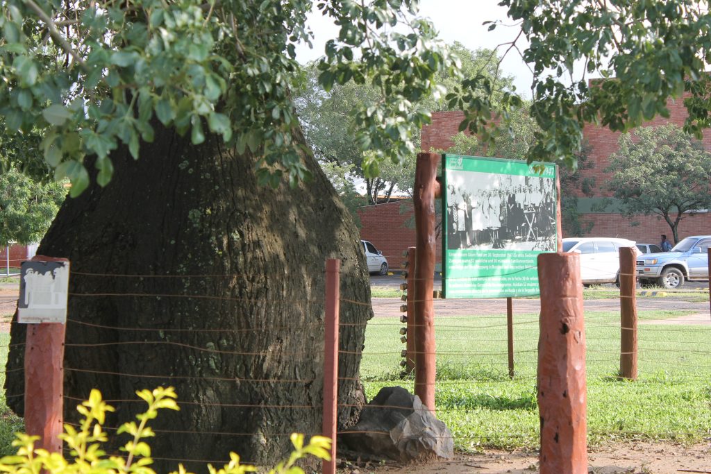 Meteorología pronostica jueves fresco con vientos variables Meteorología pronostica jueves fresco con vientos variables