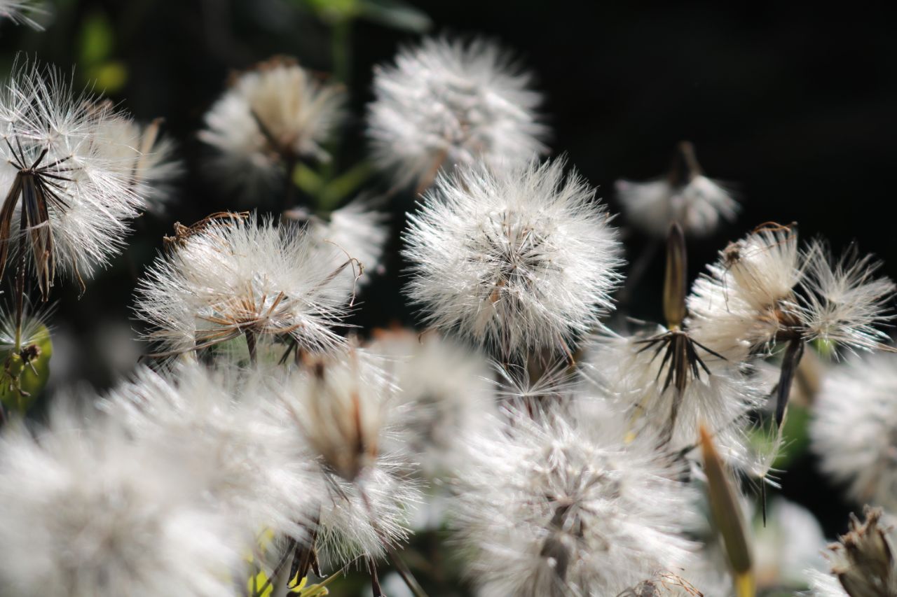Miércoles caluroso y con lluvias