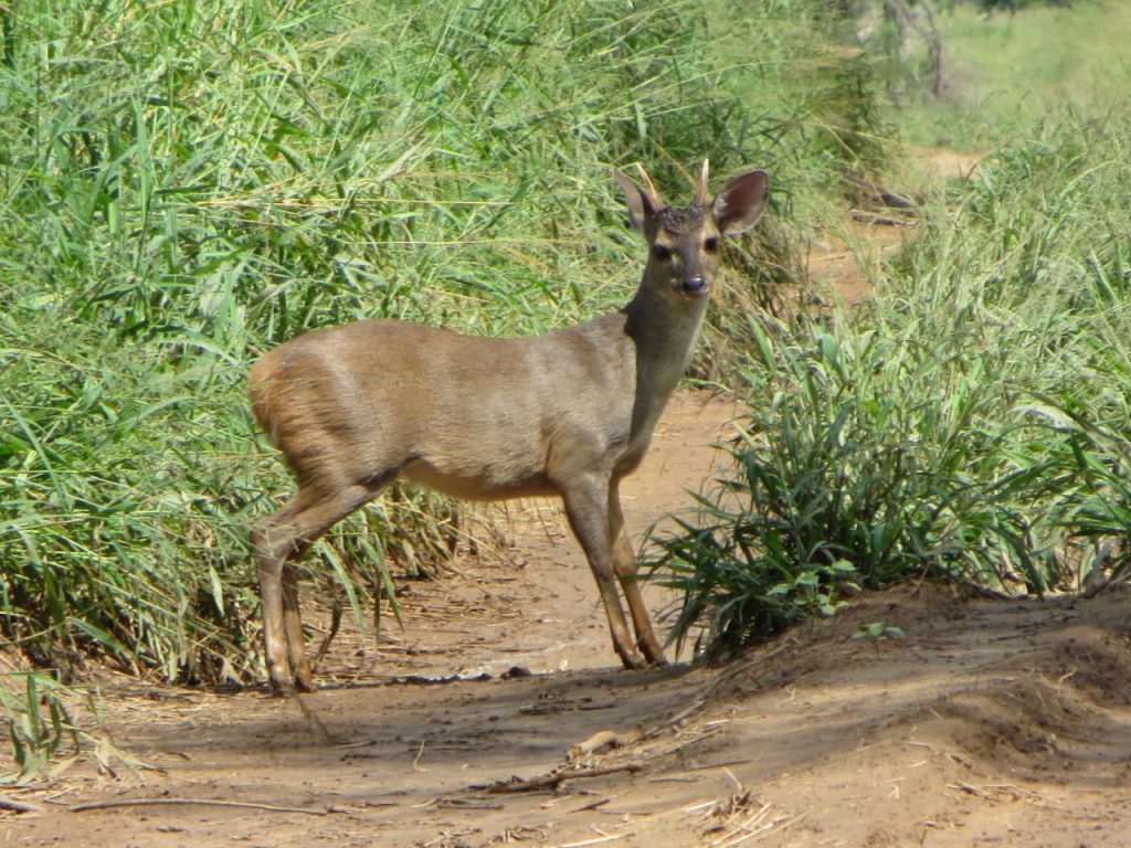 Jueves cálido y con algunas precipitaciones Jueves cálido y con algunas precipitaciones