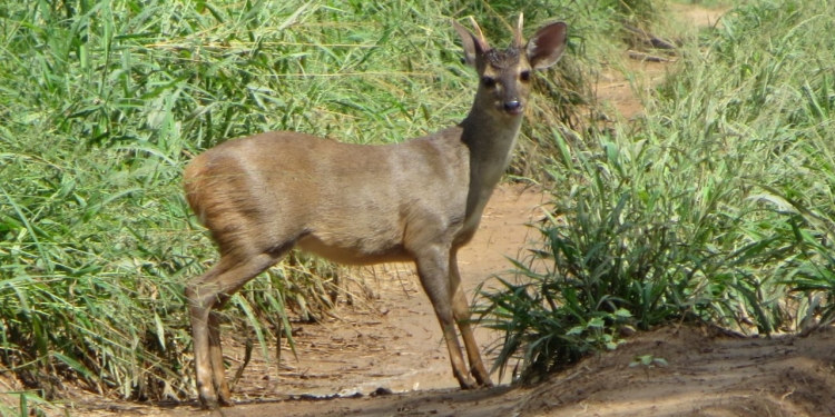 Jueves cálido y con algunas precipitaciones
