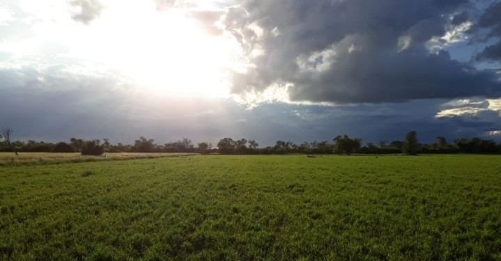 Miércoles fresco a caluroso en gran parte del país
