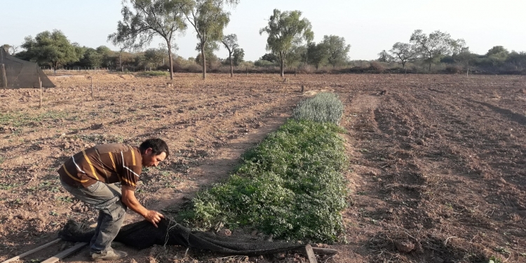 Mariscal Estigarribia: Lanzan primera edición de Feria Artesanal de productores