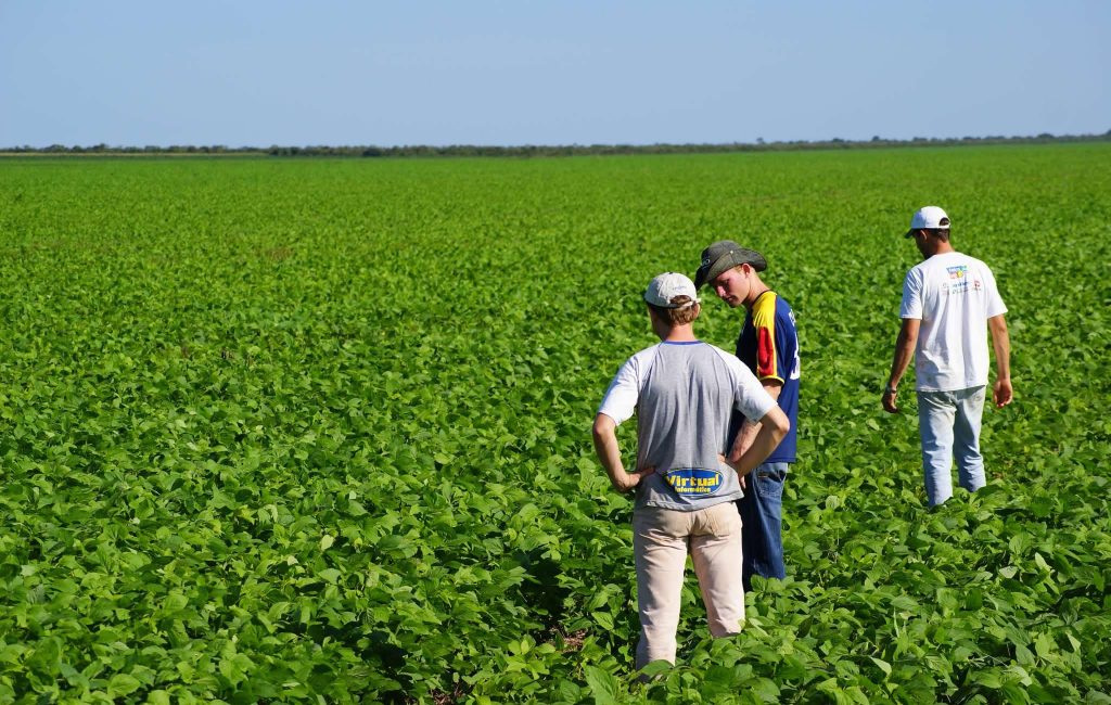 Ingenieros Agrónomos piden que se deje de lado la competencia desleal