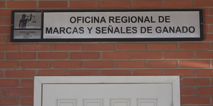 Chaco: Preocupante número de ganaderos que no reinscriben marcas de ganado