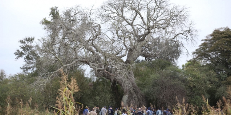 Primer finalista de Colosos de la Tierra está en el corazón del Chaco