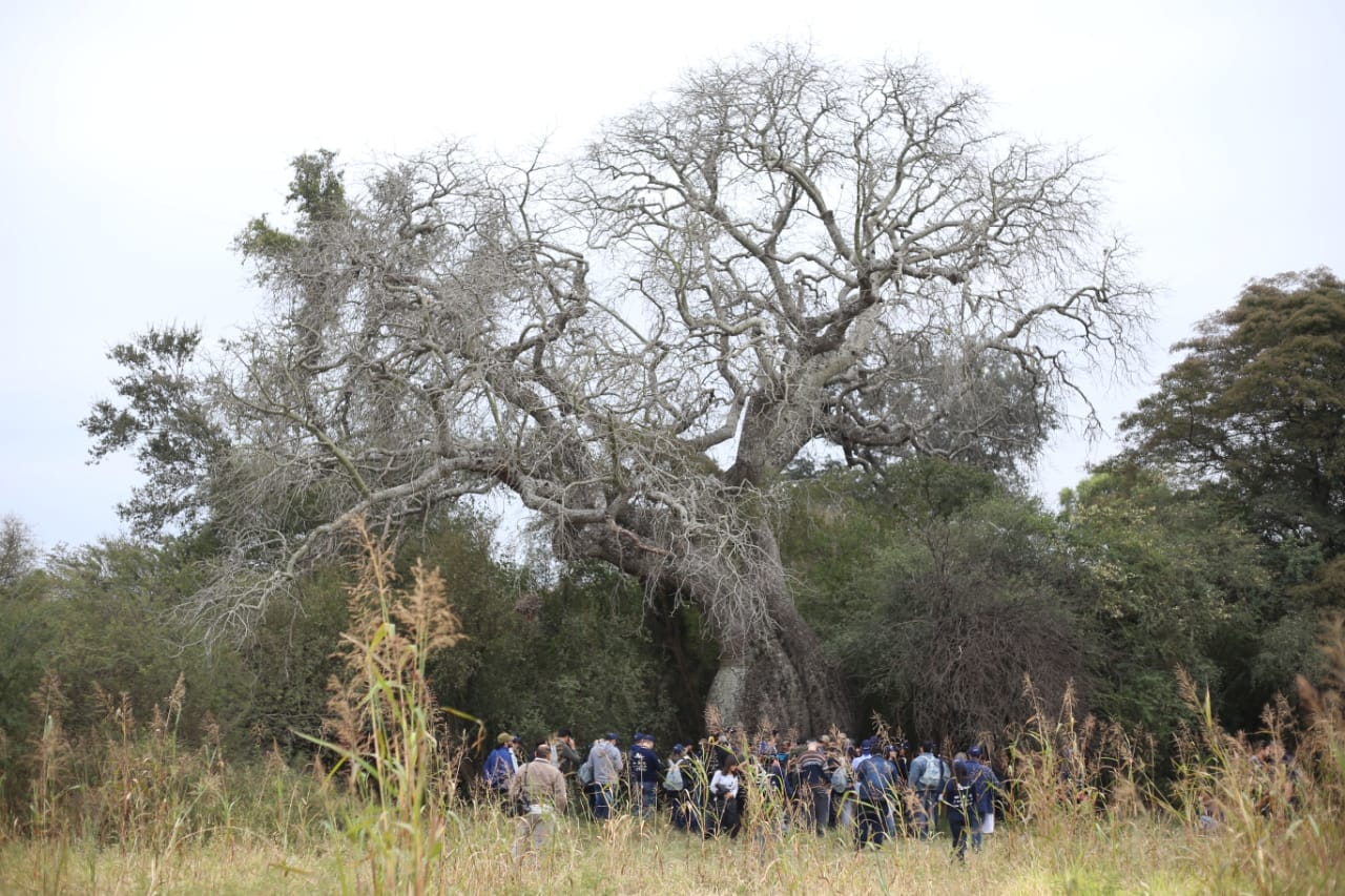 Primer finalista de Colosos de la Tierra está en el corazón del Chaco