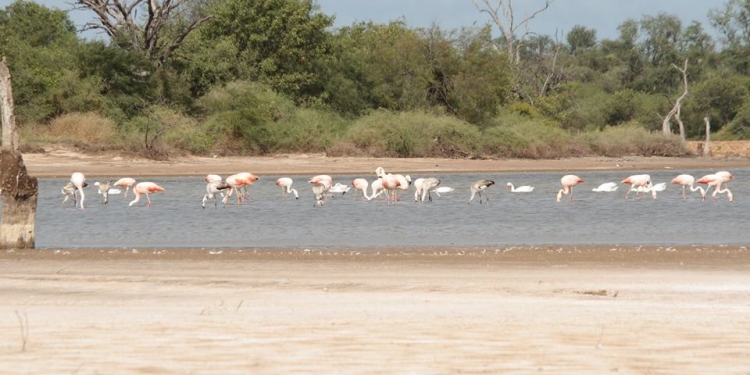 Pronostican viernes fresco con precipitaciones Pronostican viernes fresco con precipitaciones