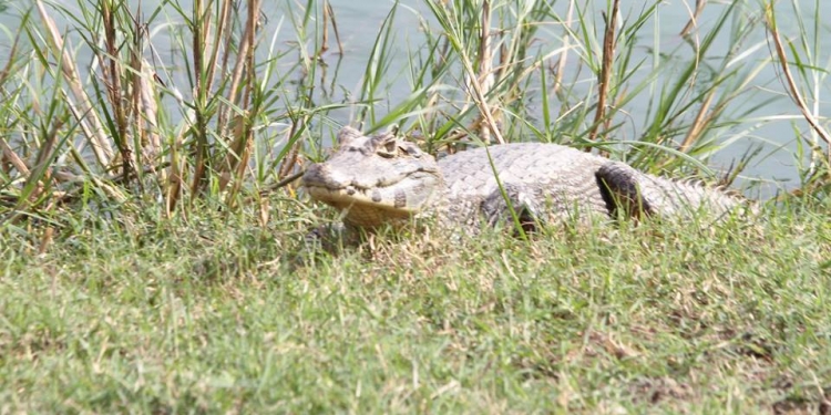 Se anuncia clima agradable para hoy