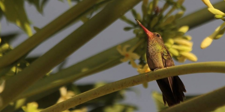 Clima agradable se anuncia para los próximos días