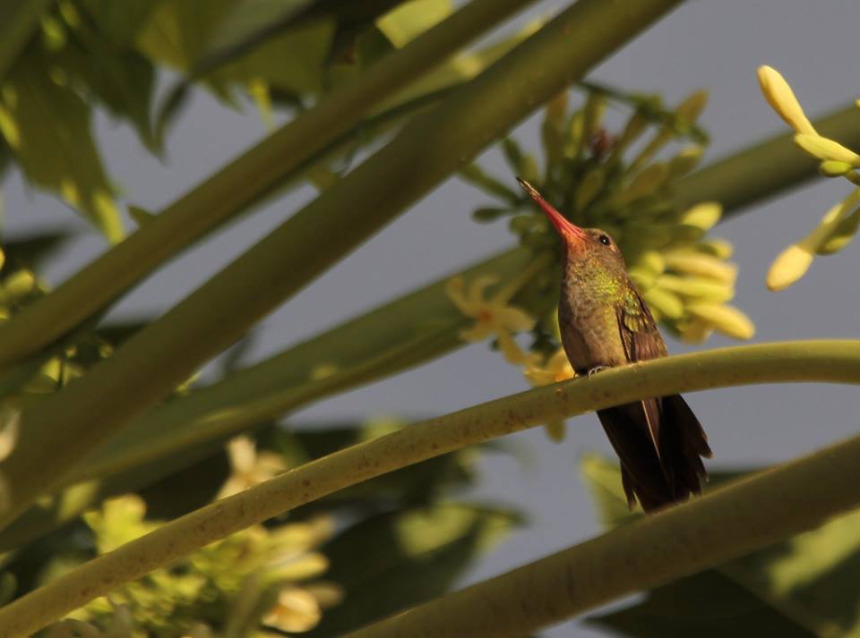 Clima agradable se anuncia para los próximos días