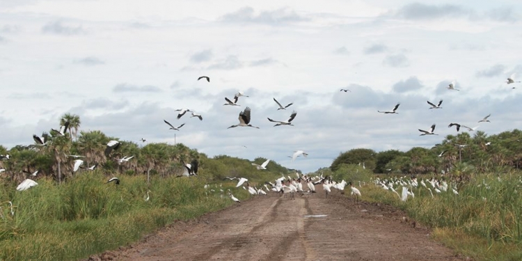 Jornada con temperaturas en ascenso