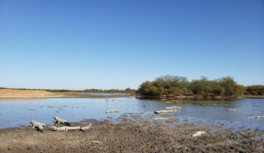 Histórica llegada del río Pilcomayo a General Diaz tras décadas de ausencia