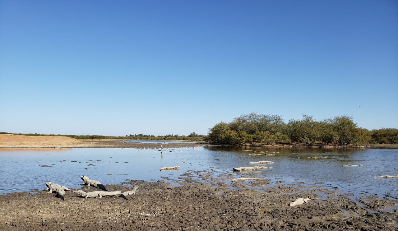 Histórica llegada del río Pilcomayo a General Diaz tras décadas de ausencia