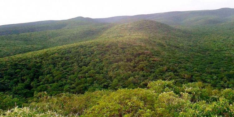 Martes con aumento en las temperaturas