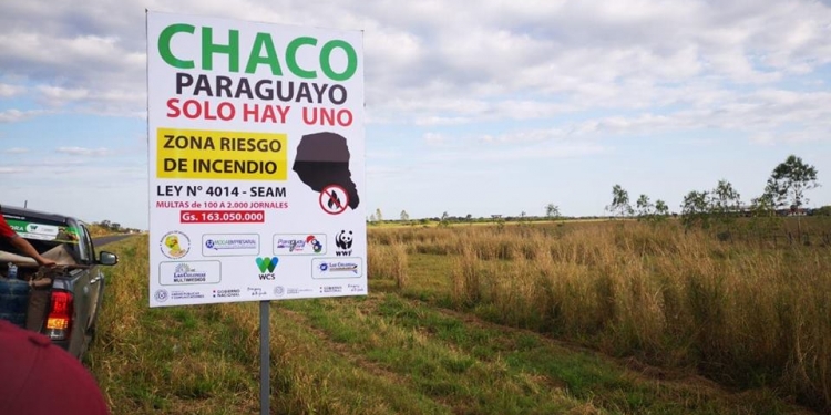 Ruta Transchaco y Obras del Corredor Bioceánico incluirán pasafaunas Ruta Transchaco y Obras del Corredor Bioceánico incluirán pasafaunas