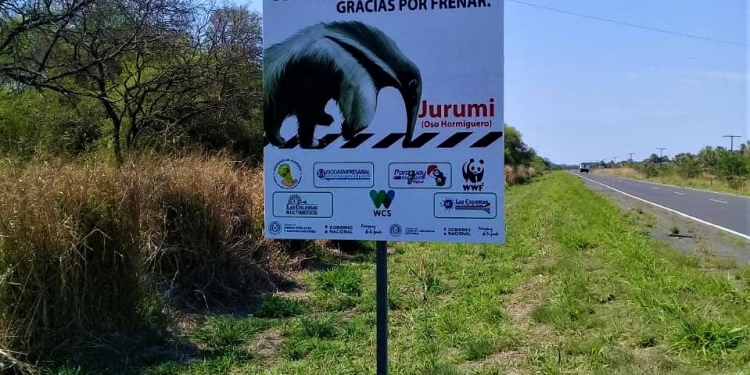 Colocan carteles para evitar atropellos a animales silvestres Colocan carteles para evitar atropellos a animales silvestres