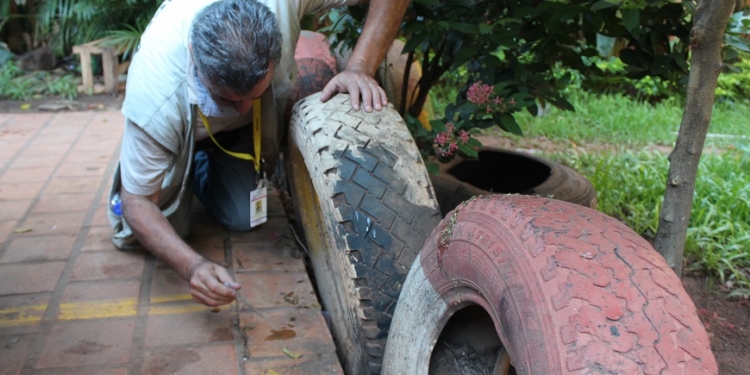 Alto Paraguay presenta corte de circulación del Dengue