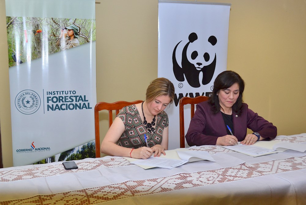 Firma de convenio entre INFONA y la organización WWF