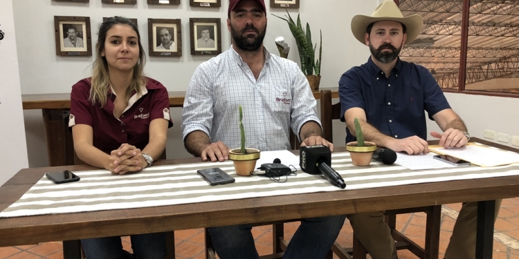 Braford bate récord en participación de animales para su exposición Nacional