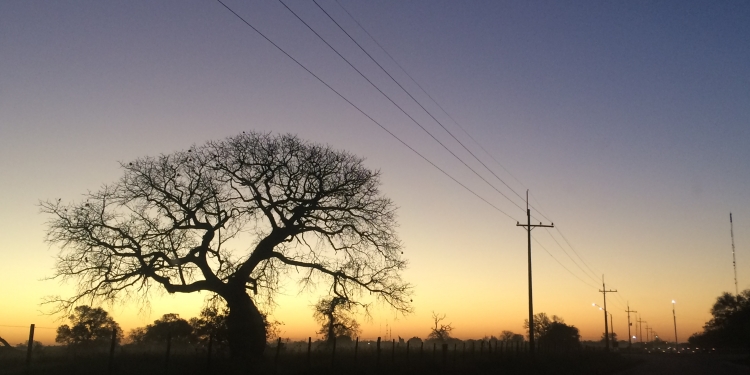 Lluvias se presentarían solo al norte del Chaco durante el fin de semana