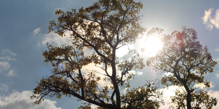 Sábado con calor intenso Sábado con calor intenso