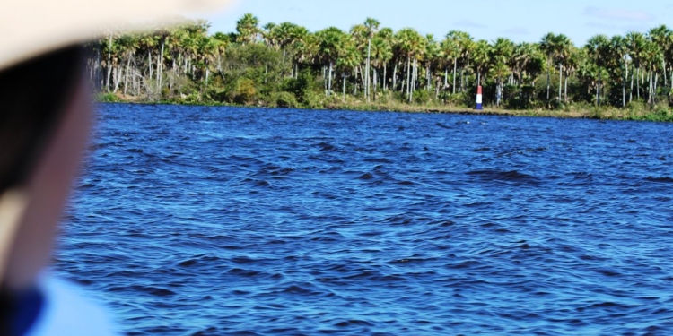 Continúan los trabajos de cara a la postulación del Pantanal Paraguayo como Patrimonio Mundial Continúan los trabajos de cara a la postulación del Pantanal Paraguayo como Patrimonio Mundial