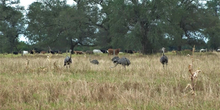 Miércoles con intenso calor Miércoles con intenso calor